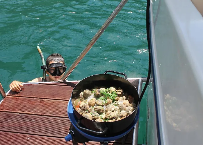 Ankora スクラーディン